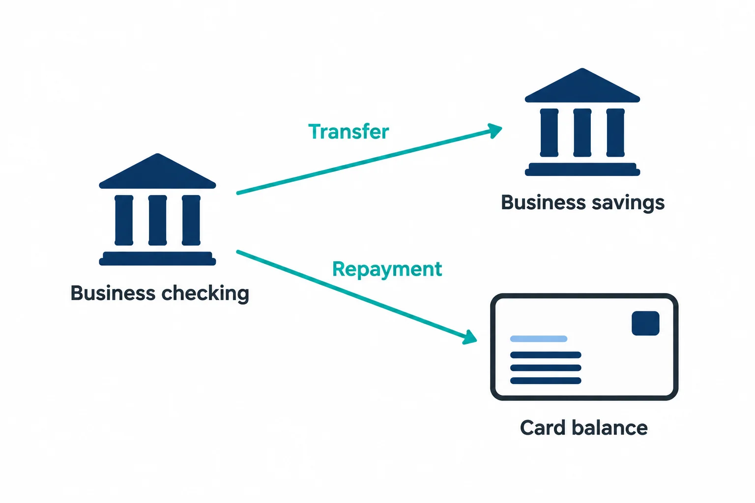 Business checking branches to Business savings via Transfer and to Card balance via Repayment.
